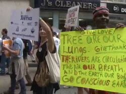 People's Climate March - NYC Stock Footage