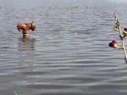 Fire hoses drowning. Stock Footage