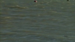 Scenery and wildlife on the Swale Estuary in kent News Clip