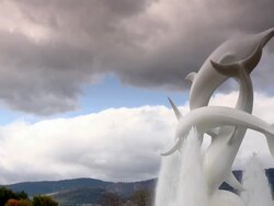 A white dolphins statue that intertwine and receive water jets Stock Footage