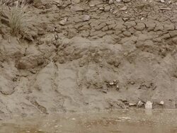 A dike constructed to prevent water from high tides to flood the earth Stock Footage