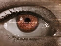 Female eye with program code. Futuristic. Technology. Brown-Green. Stock Footage