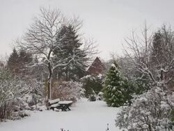 Snowmelt Stock Footage