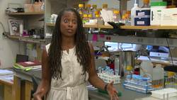 STEMExplore: A Day in the Life of a Plant Biologist Instructional Video