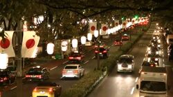 Traffic passes by a median lined with flags at night. Stock Footage