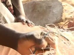 VOICED: Fight to save endangered turtles in Benin. News Clip