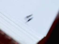 Analog countdown timer Stock Footage