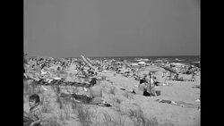 People having fun at Jones Beach on Long Island, NY News Clip