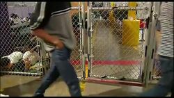 The federal government is giving rare access inside the facilities where thousands of unaccompanied immigrant children are being held after they were caught crossing the Mexico border into the U.S. (June 18) News Clip