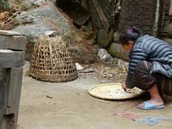 MS Shot of Sherpa woman sorting through beans in village of Zam Fute, remote Mt Everest 59 / SoluKhumbu, Nepal Stock Footage