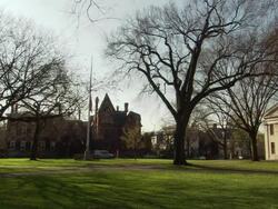 ATMOSPHERE - Yale University Campus B-Roll Stock Footage