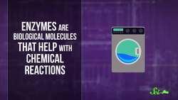 What Happens to My Wool Sweater in the Washer? Instructional Video