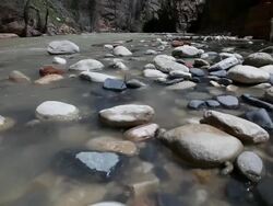 MS Pan View of river water with flat stones and rock faces line sides of river / Zion National Park, Utah, United States  Stock Footage