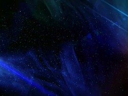 Beautiful cosmos Stock Footage