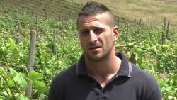 White wine production could help reform violent criminals News Clip