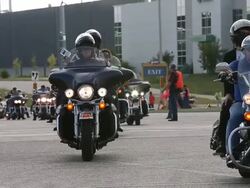 Harley Davidson Celebrates Its 110th Anniversary Stock Footage
