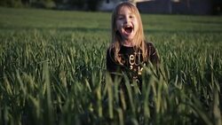 Girl enjoying the wheat field Stock Footage