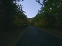 POV Driving down street lined with colorful foliage at Acadia National Park / Mount Desert Island, Maine, United States Stock Footage