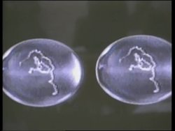 Firm presents 'cell fusion system' allegedly used by Clonaid News Clip