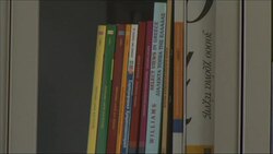 Markets slide on Greek political turmoil News Clip