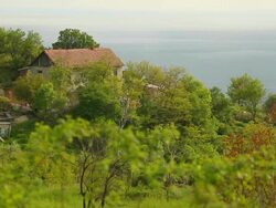 old fisherman's cottage on the coast Stock Footage