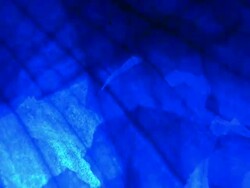 HD 1080i Color Wash through Organic skin Stock Footage