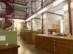 ATMOSPHERE: Kingdom of Plants 3D Interview at  Kew Stock Footage