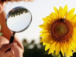 Exploring Stock Footage