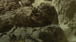 CLEAN : 17 mummies discovered in central Egypt News Clip