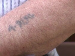 Auschwitz Number Tattoo Reveal Stock Footage