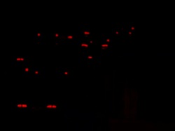 HD Tail Lambs Shining on Highway Stock Footage