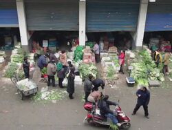 WS Vegetables wholesaling market / xi'an, shaanxi, china Stock Footage