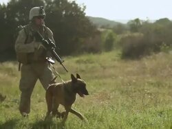  MS PAN Group of soldiers walking AUDIO / Camp Pendleton, CA, United States Stock Footage