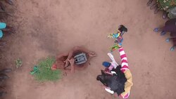Drone aerials of a traditional fertility dance News Clip