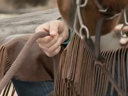 CU Cowboy sitting on fence holding horse's rein / Shell, Wyoming, United States Stock Footage