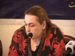 CLEAN: A beginnerÃƒÂ•s guide to the European elections News Clip