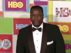 Wendell Pierce at HBO's Official 2014 Emmy After Party Stock Footage
