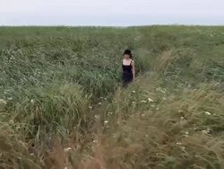 Walking through beach grass Stock Footage
