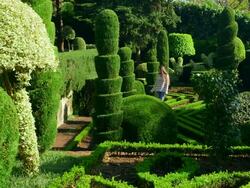 Botanical Gardens Stock Footage