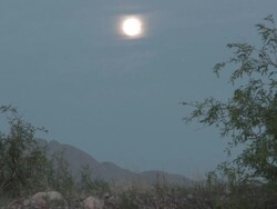 Arizona desert full moon Stock Footage