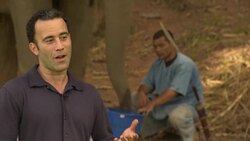 Elephant herd behind a luxurious new brew of coffee News Clip