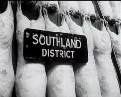 MORE MEAT FOR BRITAIN News Clip