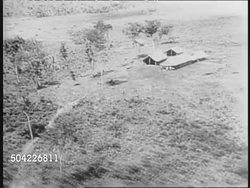 First Brazil Jungle Expedition In WWII News Clip