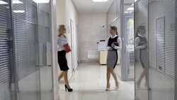 Two collegues talks walking along the corridor Stock Footage