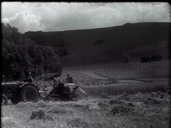BRITAIN'S BUMPER HARVEST - News Clip