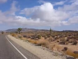 Driving through Joshua Tree National Park Stock Footage
