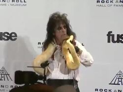 Alice Cooper  Stock Footage