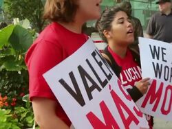 Fast Food Workers Rally At Chicago McDonald's To Raise Minimum Wage Stock Footage