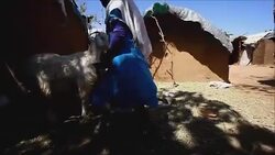 CLEAN : In Sudans Darfur displaced children battle to learn News Clip