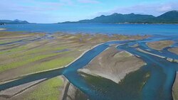 Wide aerial moving down river with coastline and a brown bear in the distance Stock Footage